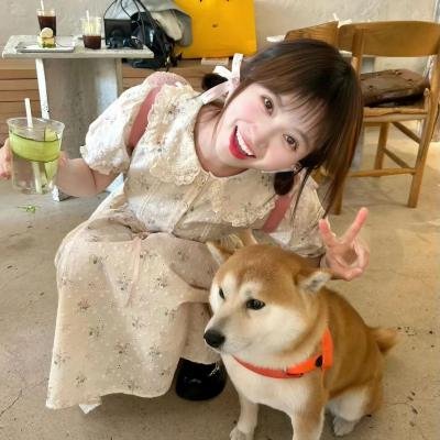 女婿难当
